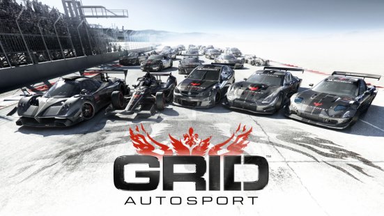 Скриншот GRID Autosport