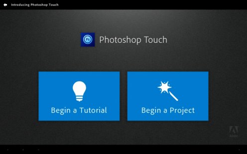 Скриншот Adobe Photoshop Touch