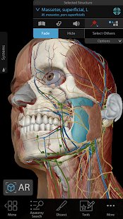 Скриншот Human Anatomy Atlas